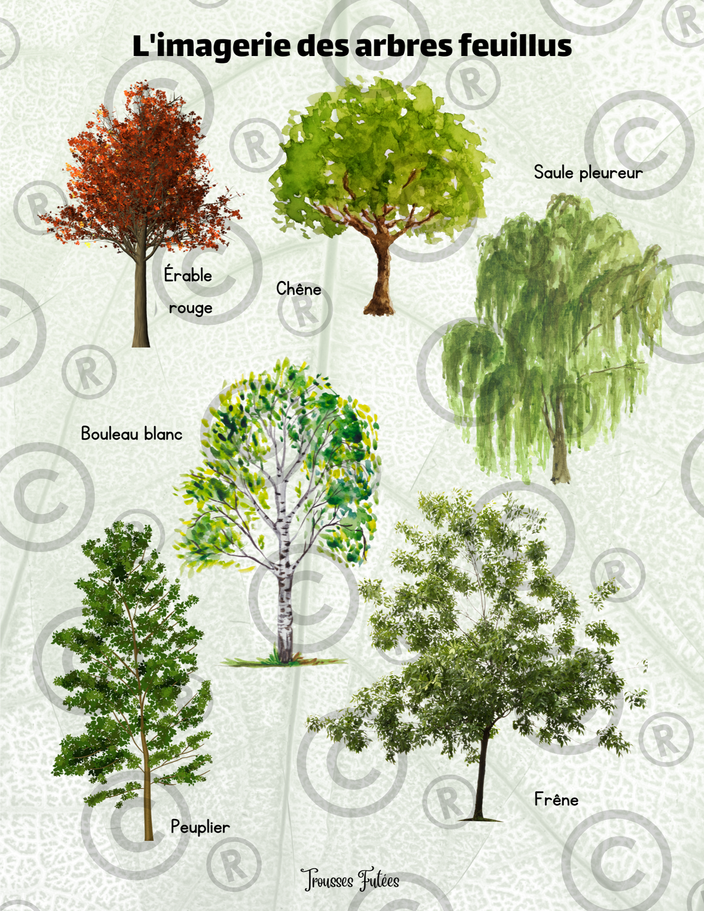 Les arbres - 45 pages