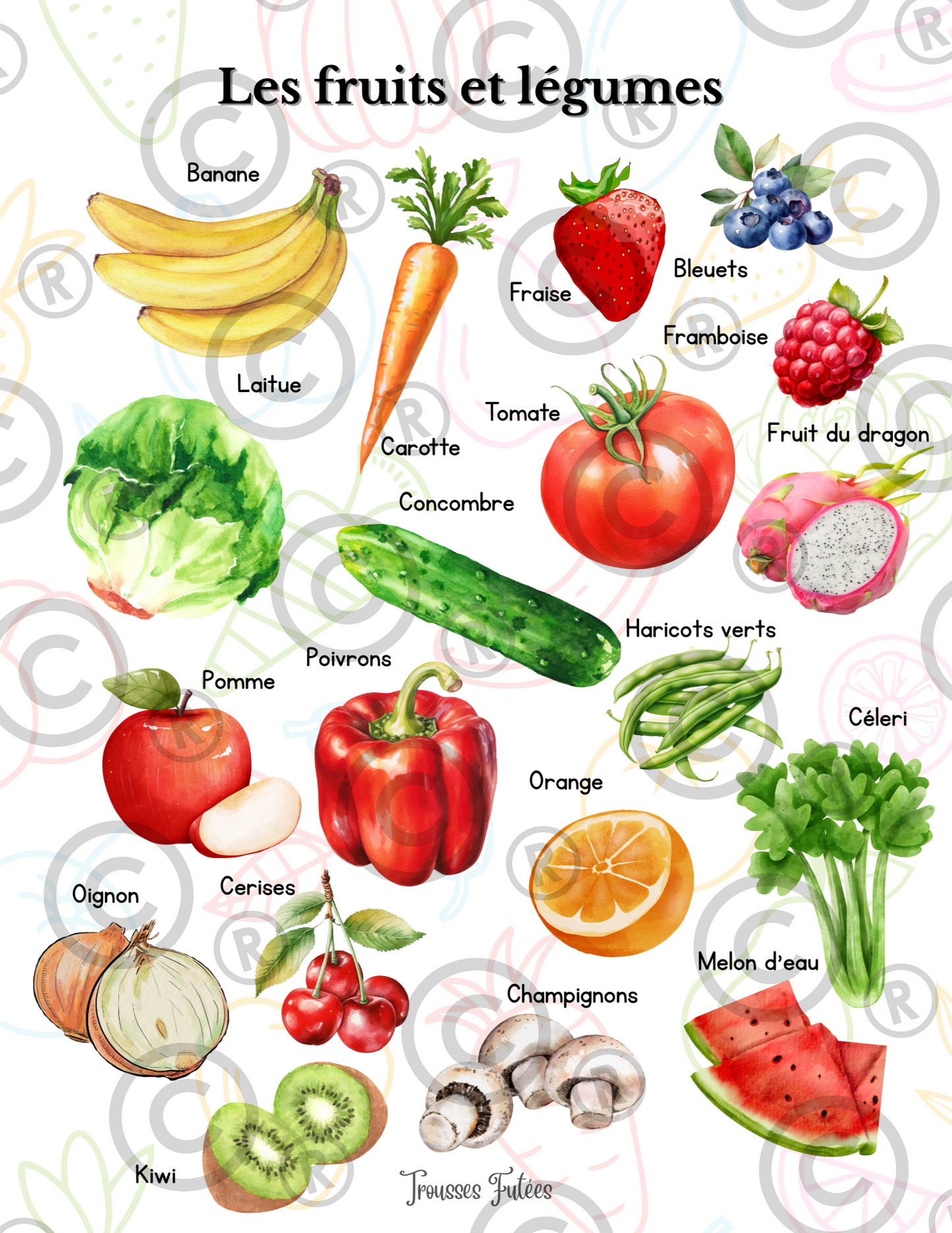 Apprenti cuisinier - 40 pages