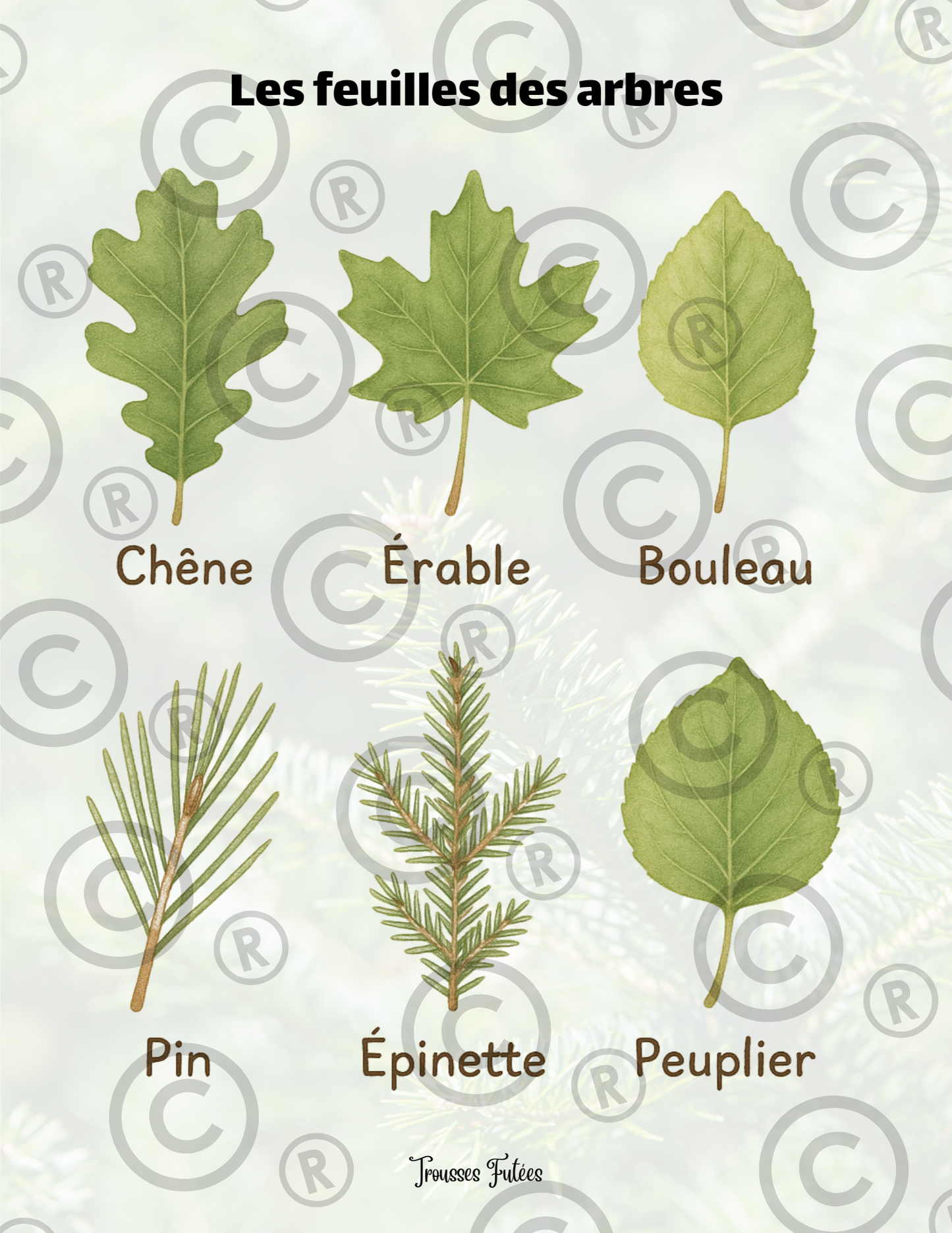 Les arbres - 45 pages