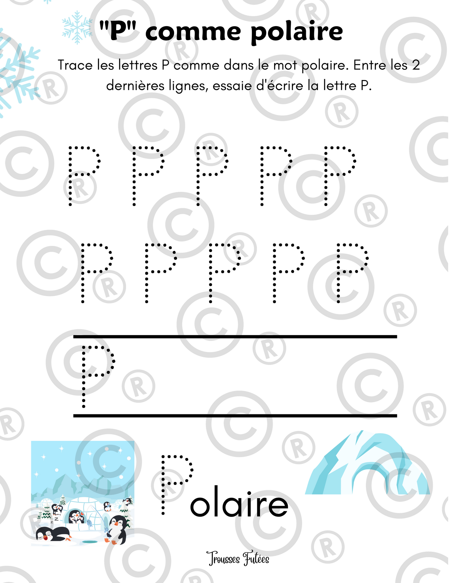 Le monde polaire - 35 pages