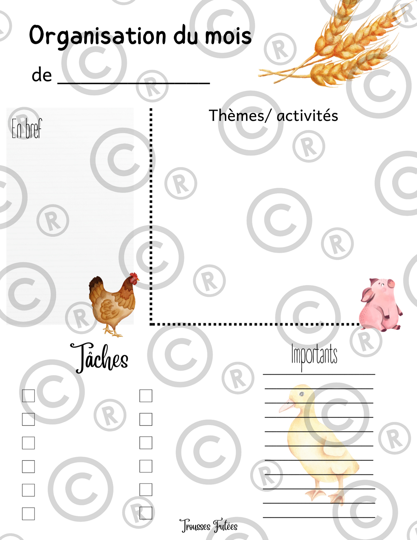 La campagne - 50 pages