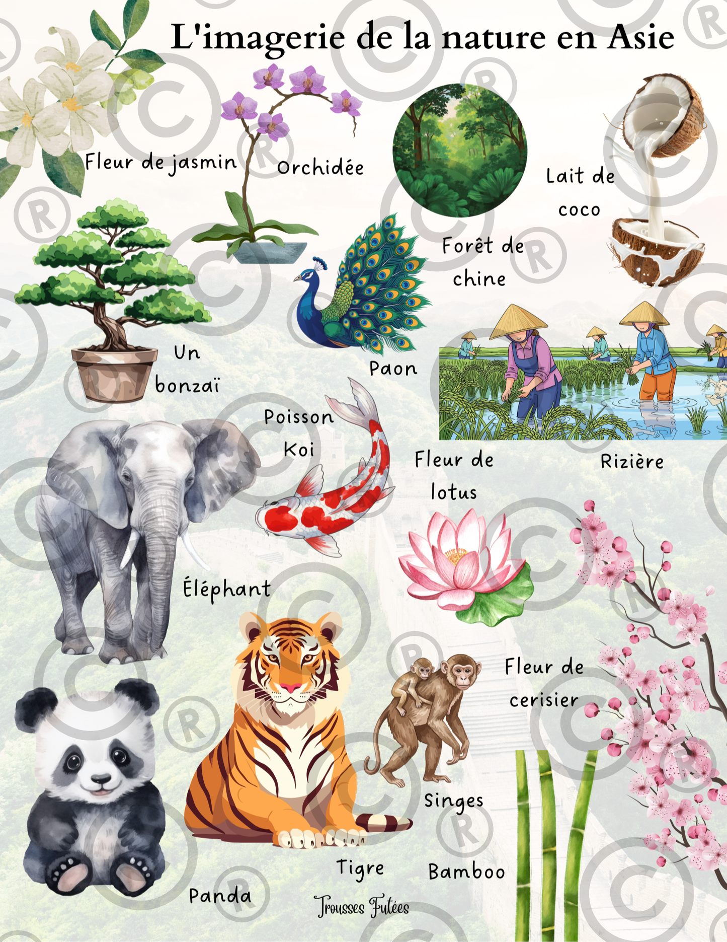 Trousse éducative l'Asie - Activités imprimables 1-6 ans (PDF)