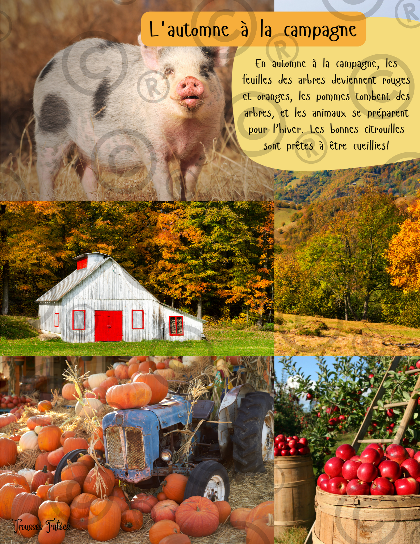 La campagne - 50 pages