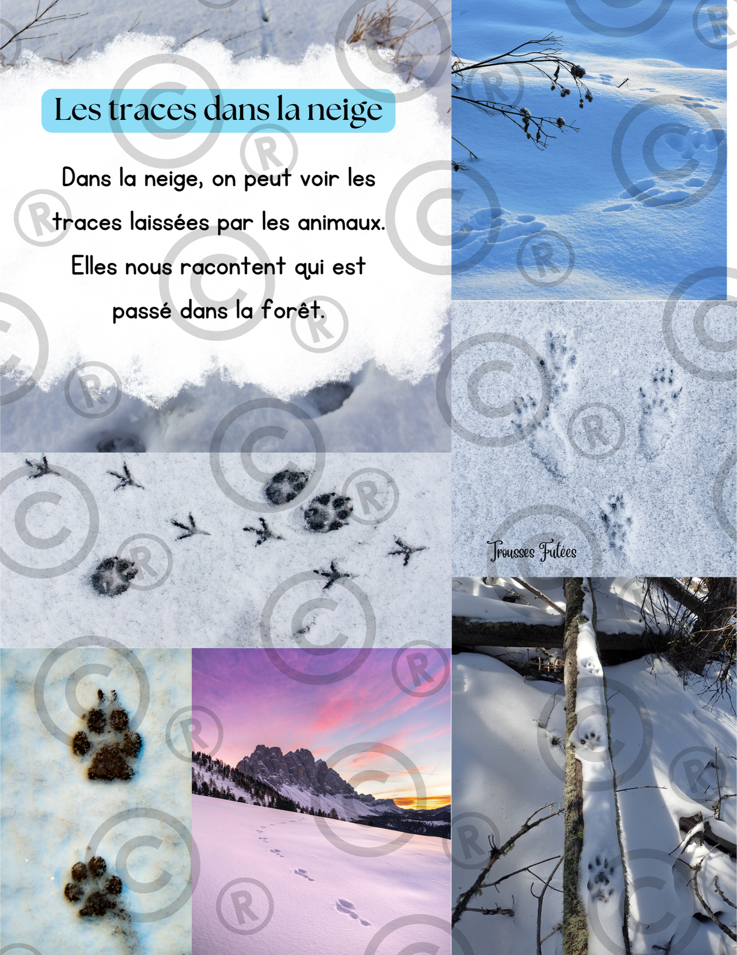 Trousse éducative La Forêt en Hiver PDF - Activités imprimables 1-6 ans