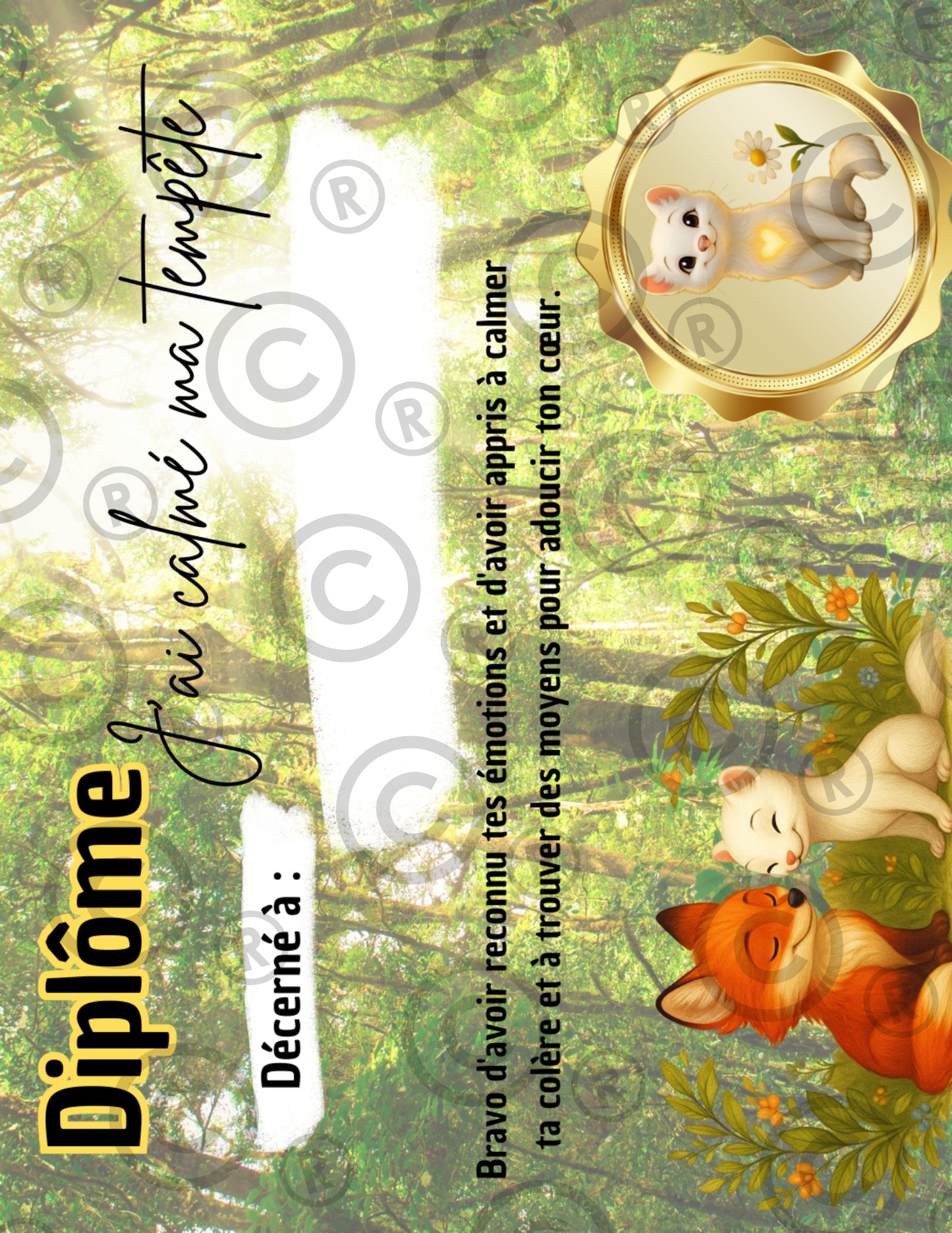 Mini Trousse Éducative La colère - Activités imprimables 1-6 ans - PDF