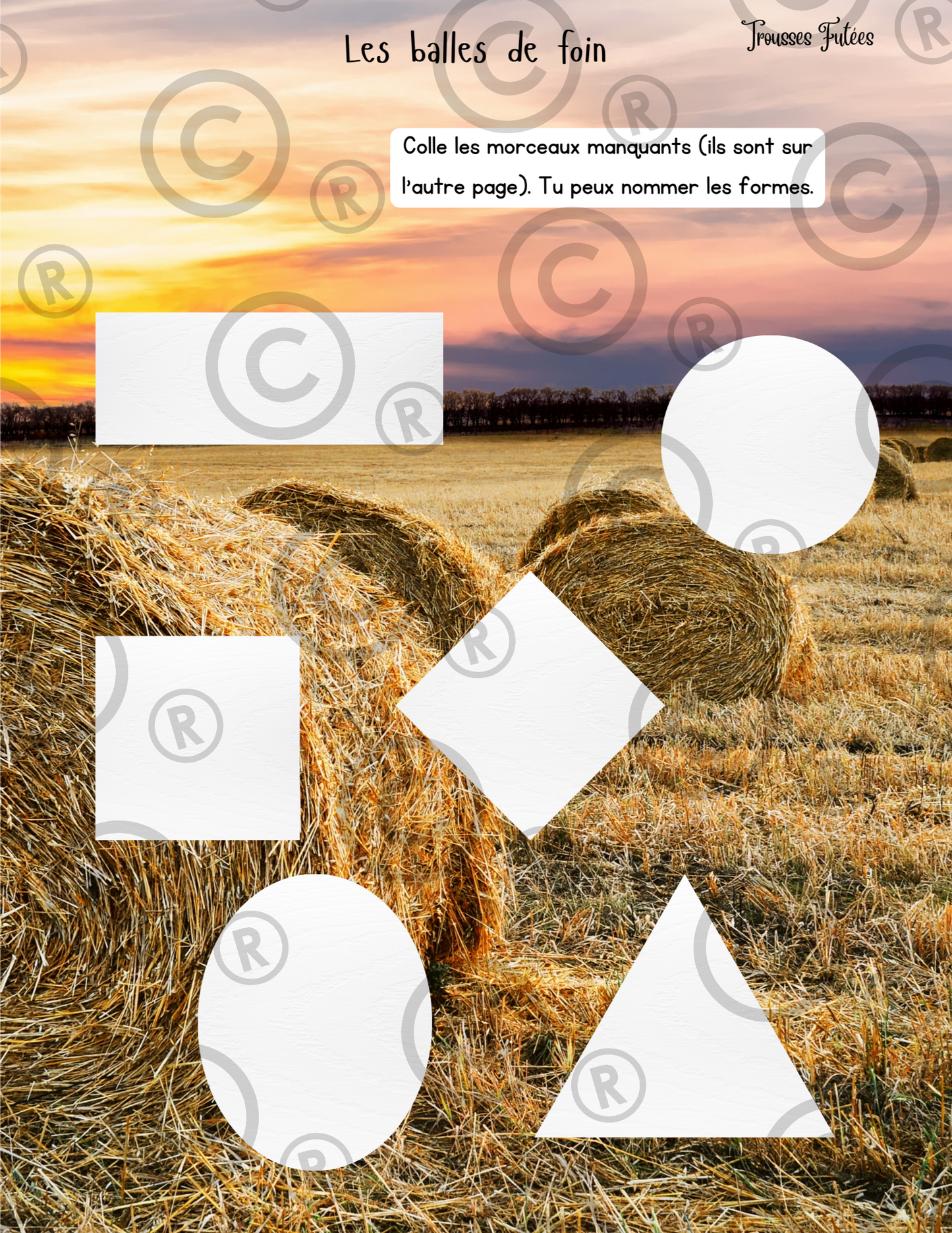 La campagne - 50 pages