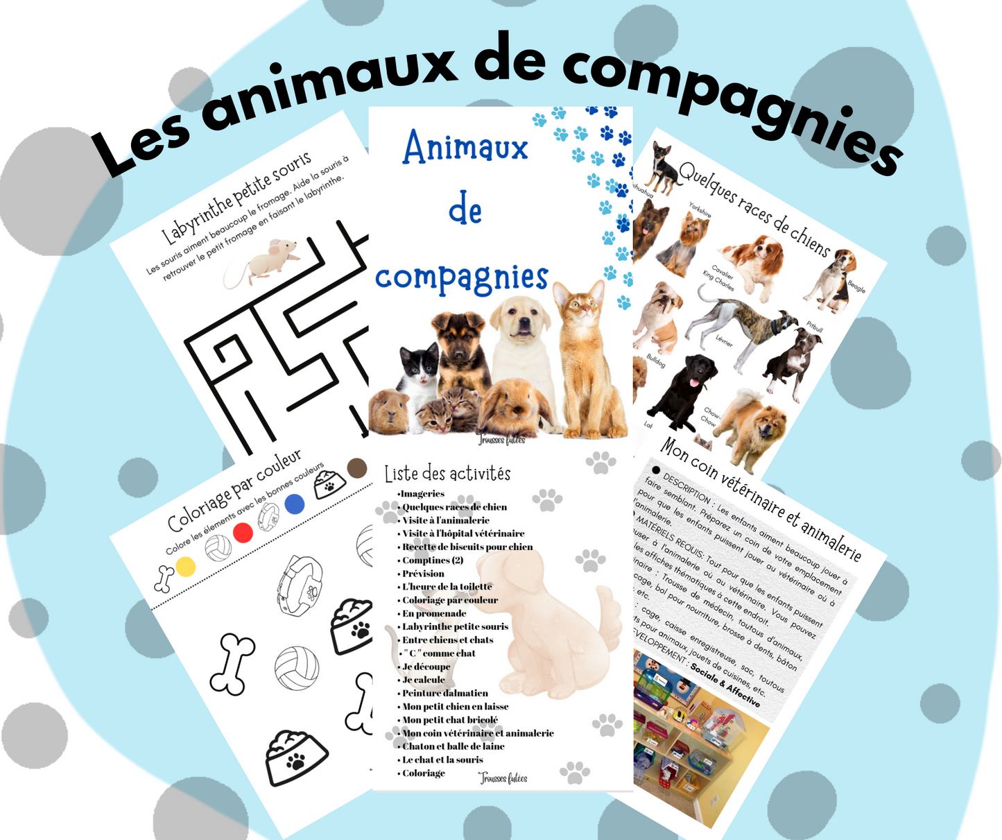 Les animaux de compagnie - 30 pages