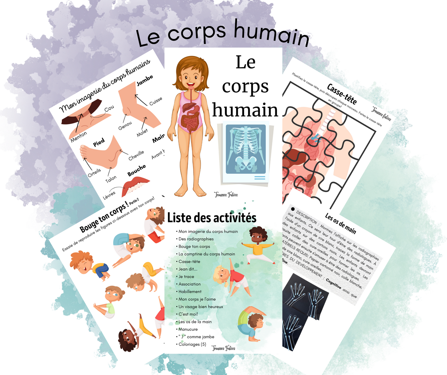 Le corps humain - 25 pages