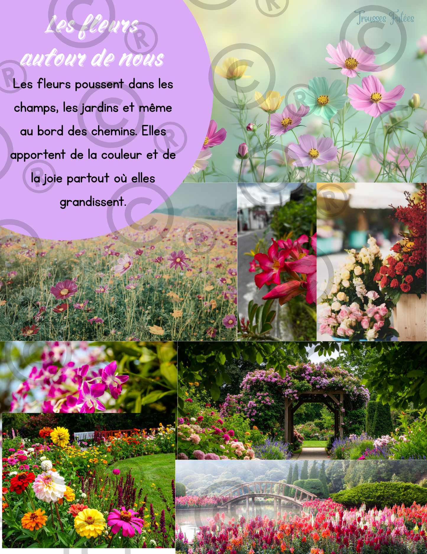 Trousse éducative Les fleurs  - PDF - Activités préscolaire-maternelle